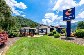 Comfort Inn near Great Smoky Mountain National Park Maggie Valley
